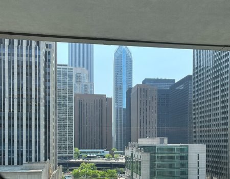 ww.thom_jpg window cleaning services in Chicago